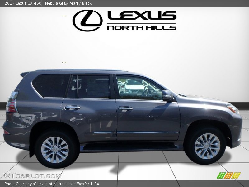 Nebula Gray Pearl / Black 2017 Lexus GX 460