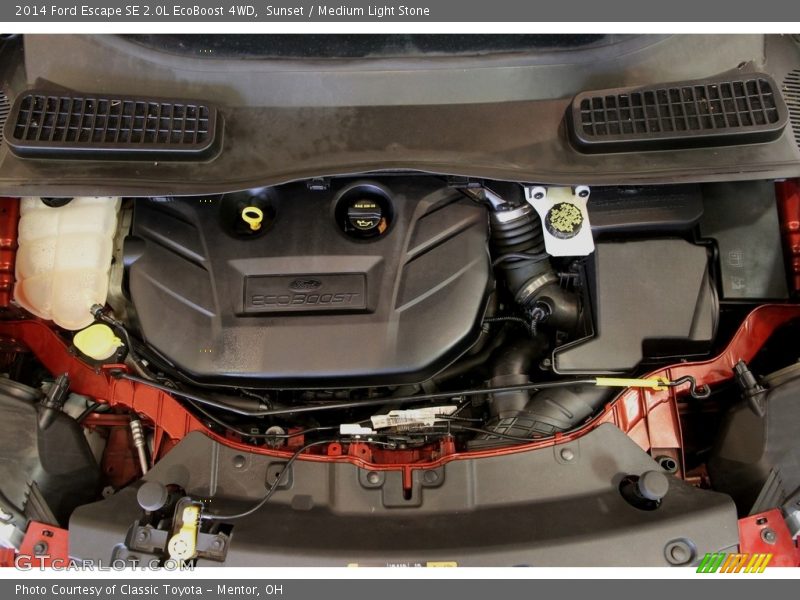 Sunset / Medium Light Stone 2014 Ford Escape SE 2.0L EcoBoost 4WD