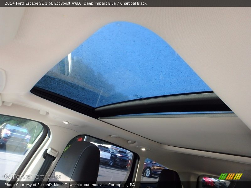 Deep Impact Blue / Charcoal Black 2014 Ford Escape SE 1.6L EcoBoost 4WD