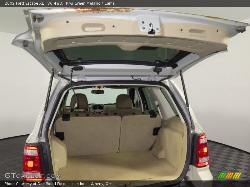 Kiwi Green Metallic / Camel 2009 Ford Escape XLT V6 4WD