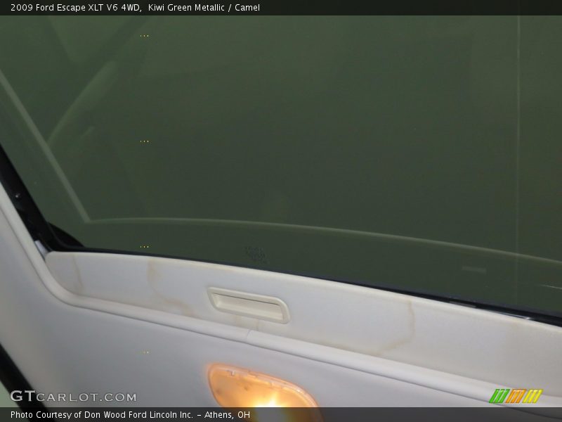 Kiwi Green Metallic / Camel 2009 Ford Escape XLT V6 4WD