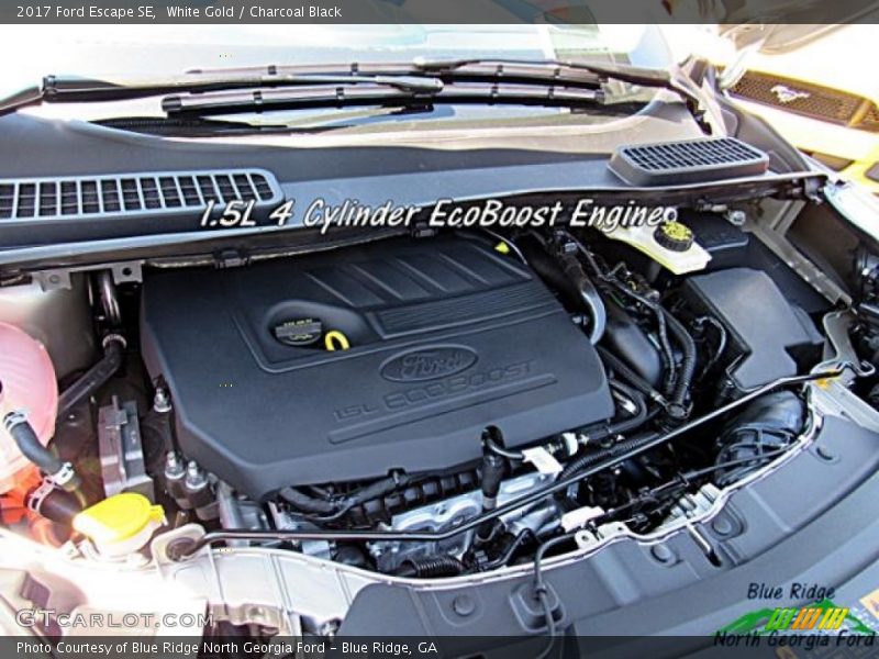 White Gold / Charcoal Black 2017 Ford Escape SE