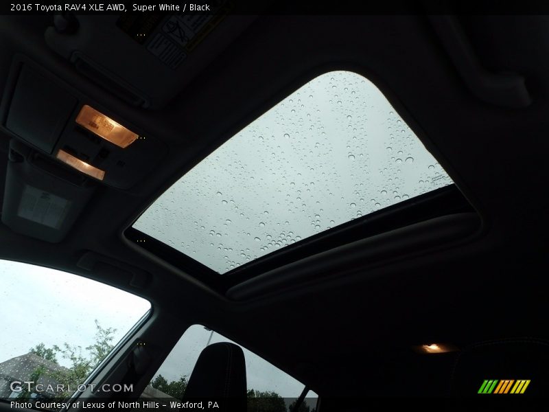 Super White / Black 2016 Toyota RAV4 XLE AWD