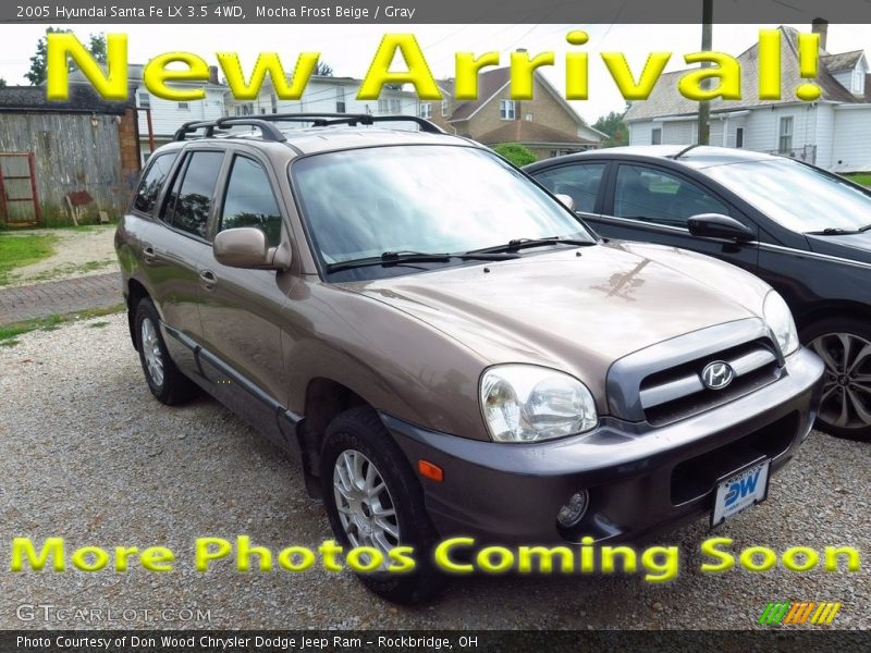 Mocha Frost Beige / Gray 2005 Hyundai Santa Fe LX 3.5 4WD