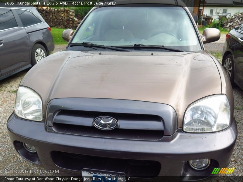 Mocha Frost Beige / Gray 2005 Hyundai Santa Fe LX 3.5 4WD