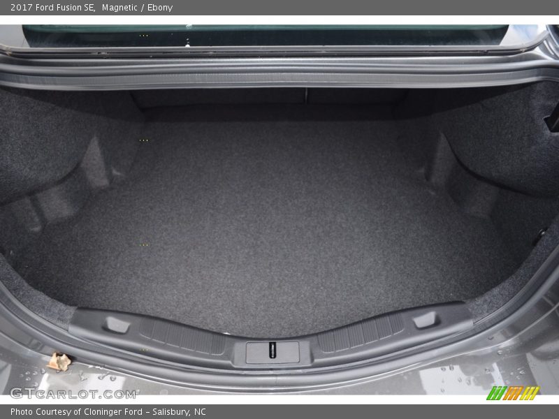 Magnetic / Ebony 2017 Ford Fusion SE