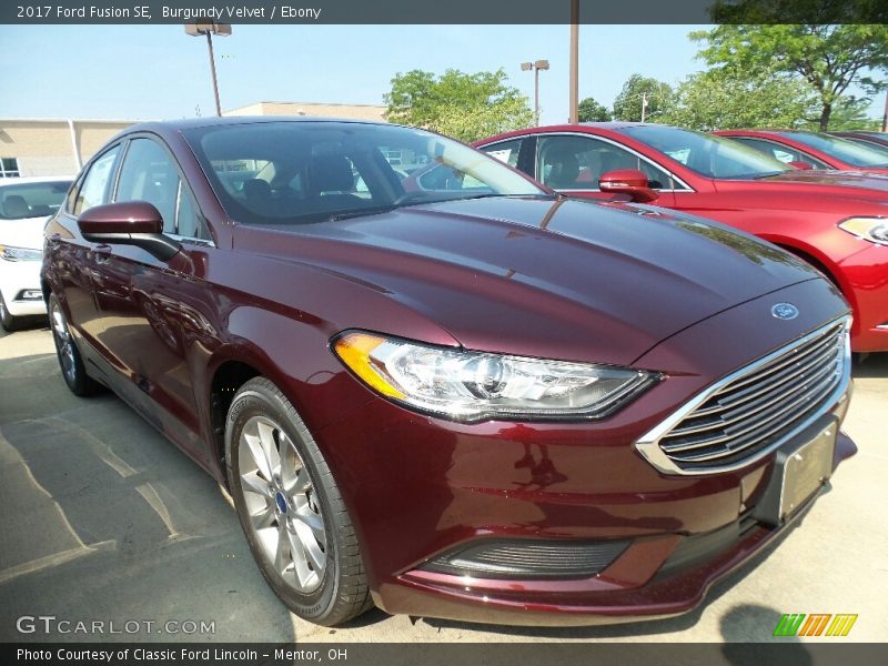 Burgundy Velvet / Ebony 2017 Ford Fusion SE