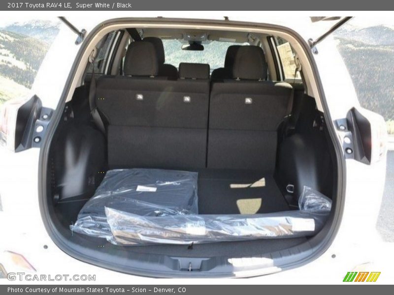 Super White / Black 2017 Toyota RAV4 LE