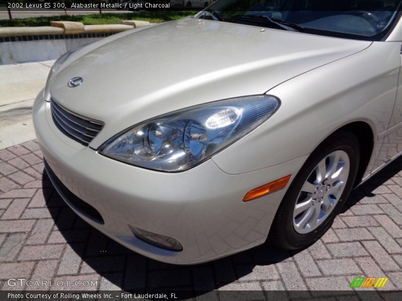 Alabaster Metallic / Light Charcoal 2002 Lexus ES 300