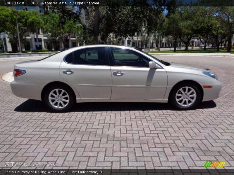 Alabaster Metallic / Light Charcoal 2002 Lexus ES 300
