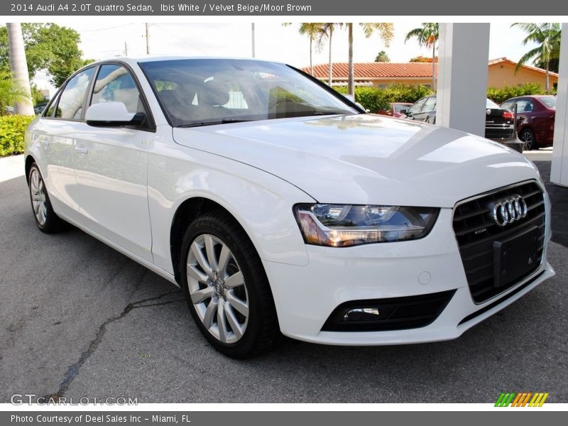 Ibis White / Velvet Beige/Moor Brown 2014 Audi A4 2.0T quattro Sedan