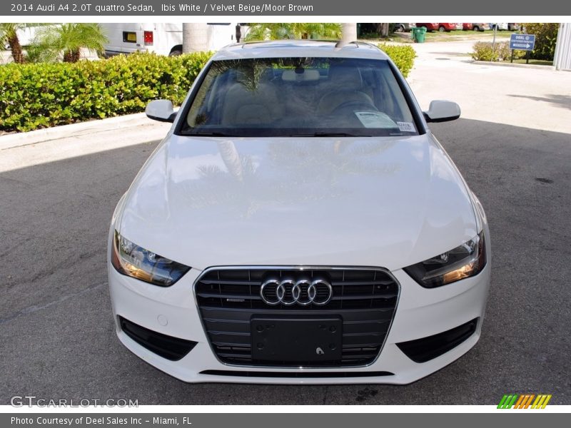 Ibis White / Velvet Beige/Moor Brown 2014 Audi A4 2.0T quattro Sedan