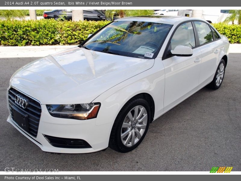 Ibis White / Velvet Beige/Moor Brown 2014 Audi A4 2.0T quattro Sedan