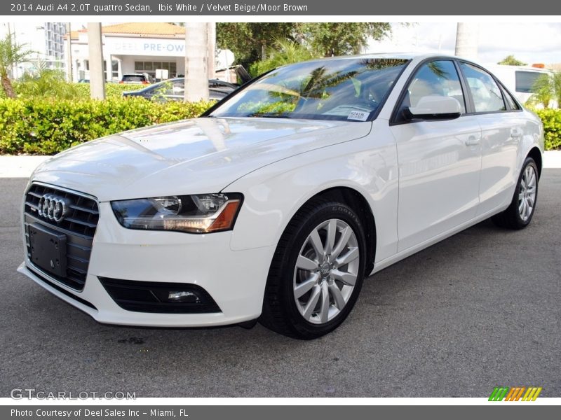 Ibis White / Velvet Beige/Moor Brown 2014 Audi A4 2.0T quattro Sedan