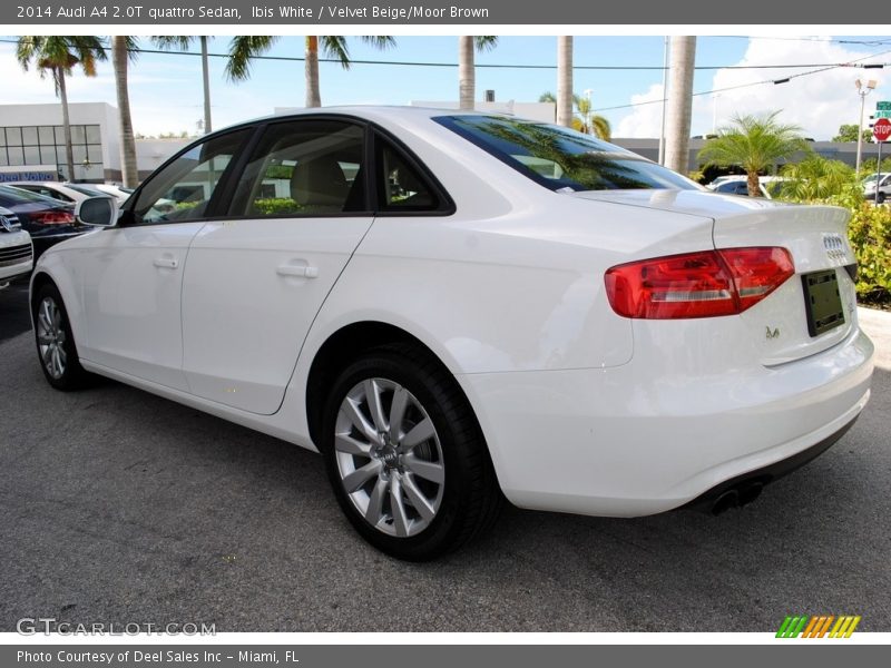 Ibis White / Velvet Beige/Moor Brown 2014 Audi A4 2.0T quattro Sedan