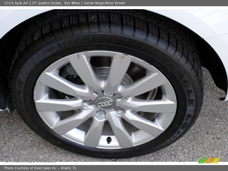 Ibis White / Velvet Beige/Moor Brown 2014 Audi A4 2.0T quattro Sedan