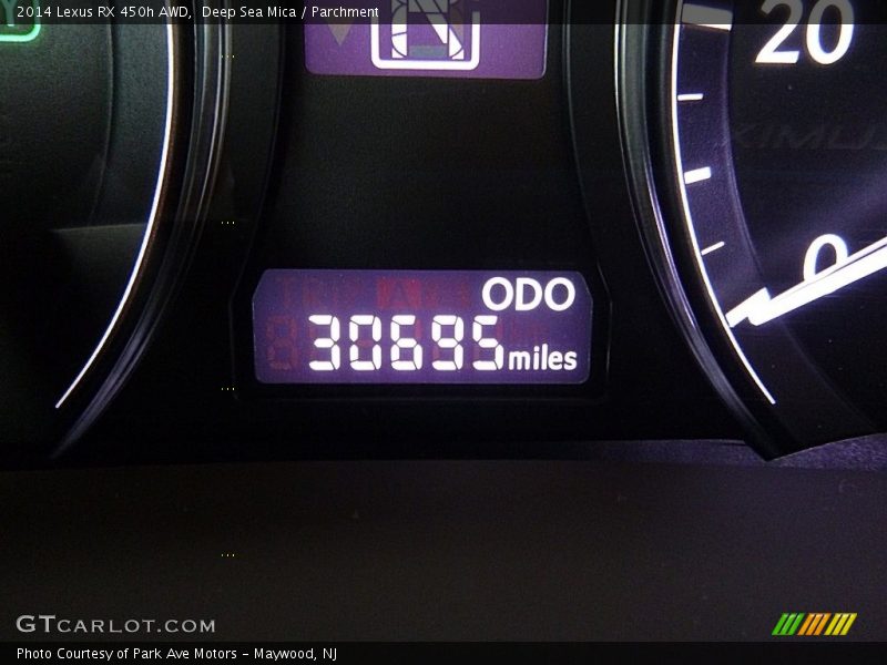 Deep Sea Mica / Parchment 2014 Lexus RX 450h AWD