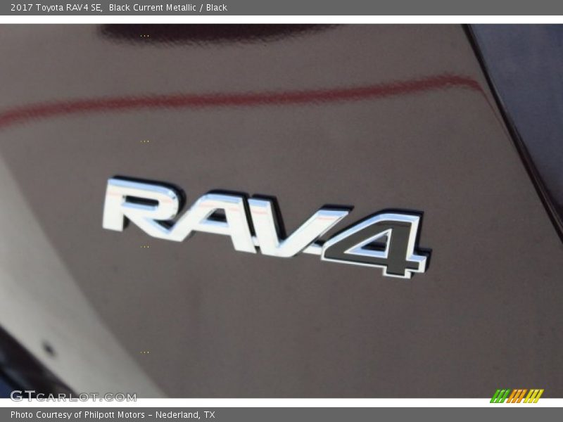 Black Current Metallic / Black 2017 Toyota RAV4 SE
