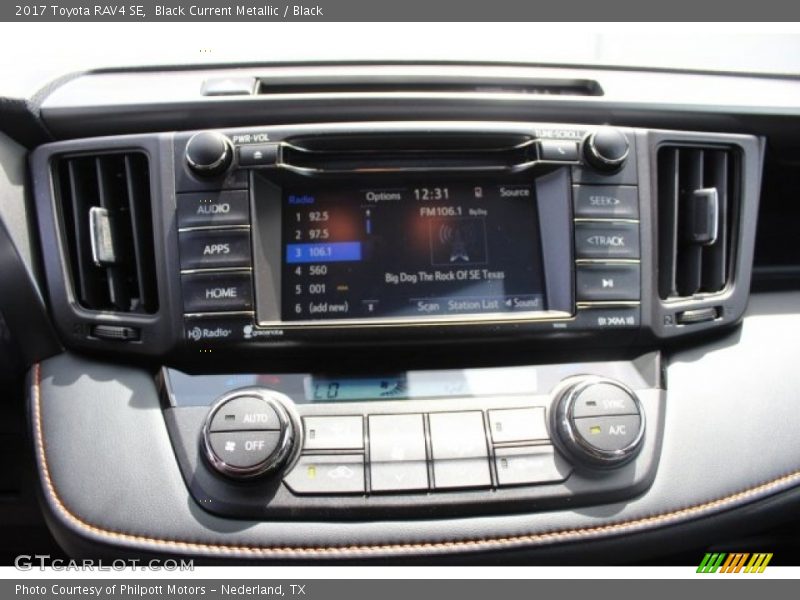 Black Current Metallic / Black 2017 Toyota RAV4 SE