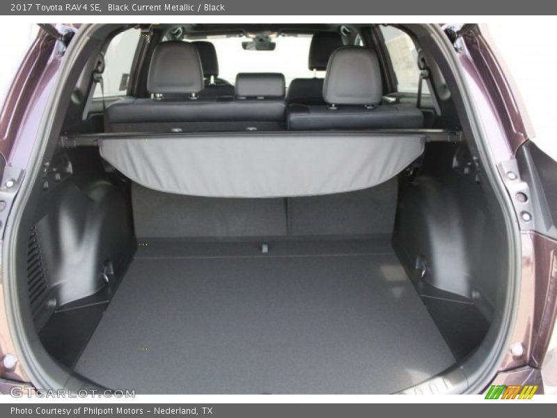 Black Current Metallic / Black 2017 Toyota RAV4 SE