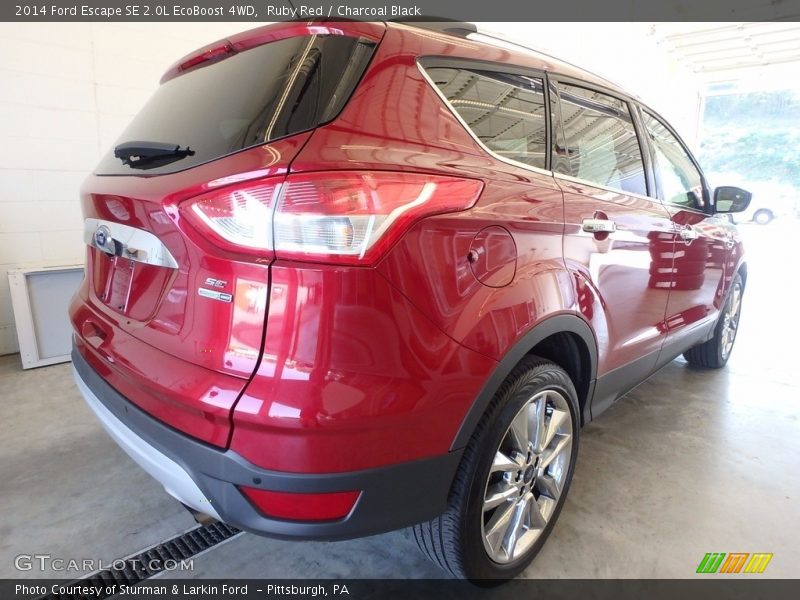 Ruby Red / Charcoal Black 2014 Ford Escape SE 2.0L EcoBoost 4WD