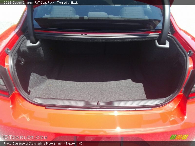 Torred / Black 2018 Dodge Charger R/T Scat Pack