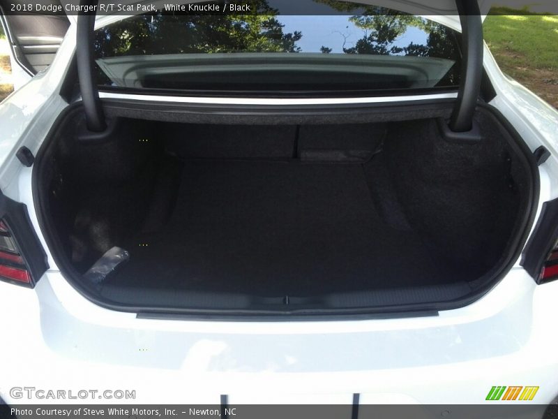 White Knuckle / Black 2018 Dodge Charger R/T Scat Pack