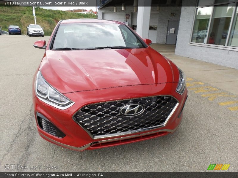 Scarlet Red / Black 2018 Hyundai Sonata Sport