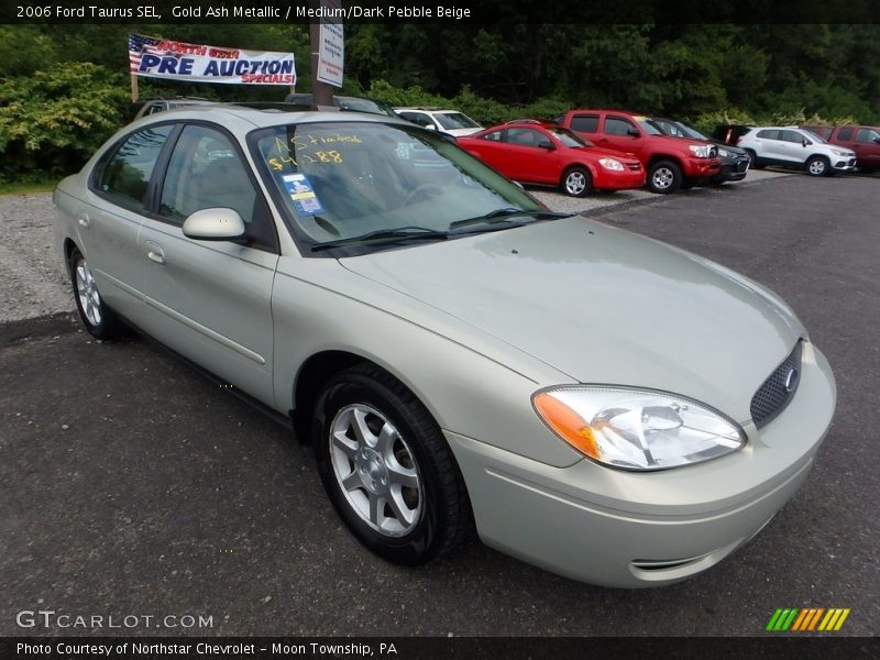 Gold Ash Metallic / Medium/Dark Pebble Beige 2006 Ford Taurus SEL