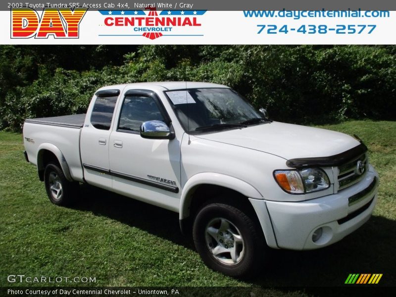 Natural White / Gray 2003 Toyota Tundra SR5 Access Cab 4x4