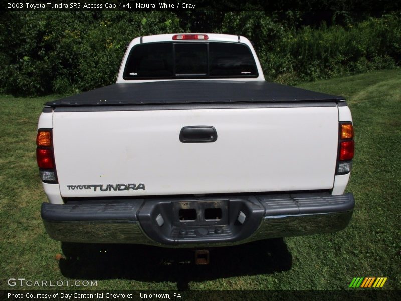 Natural White / Gray 2003 Toyota Tundra SR5 Access Cab 4x4