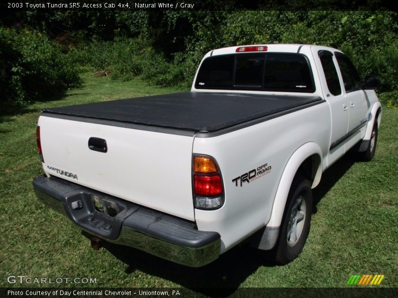 Natural White / Gray 2003 Toyota Tundra SR5 Access Cab 4x4