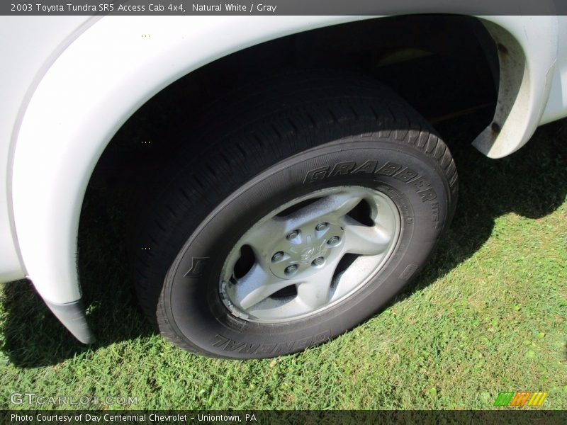 Natural White / Gray 2003 Toyota Tundra SR5 Access Cab 4x4