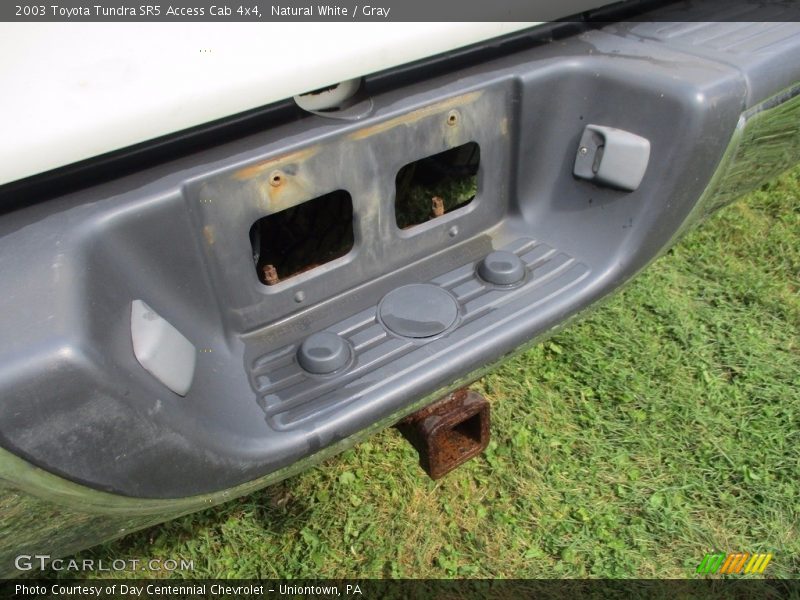Natural White / Gray 2003 Toyota Tundra SR5 Access Cab 4x4