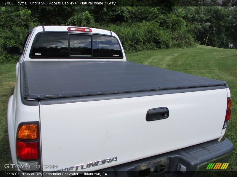 Natural White / Gray 2003 Toyota Tundra SR5 Access Cab 4x4