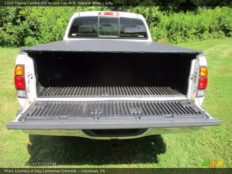 Natural White / Gray 2003 Toyota Tundra SR5 Access Cab 4x4