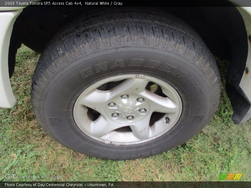 Natural White / Gray 2003 Toyota Tundra SR5 Access Cab 4x4