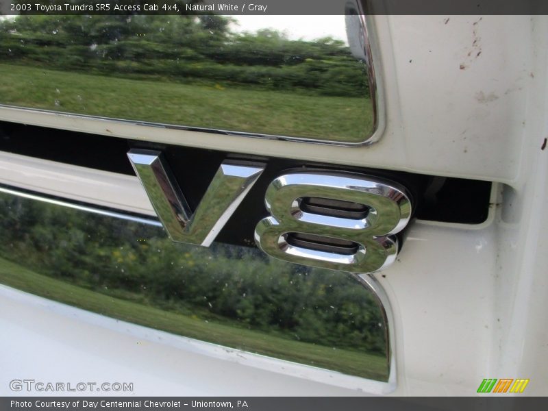 Natural White / Gray 2003 Toyota Tundra SR5 Access Cab 4x4