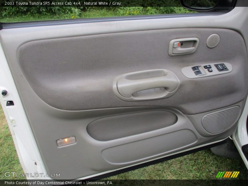 Natural White / Gray 2003 Toyota Tundra SR5 Access Cab 4x4