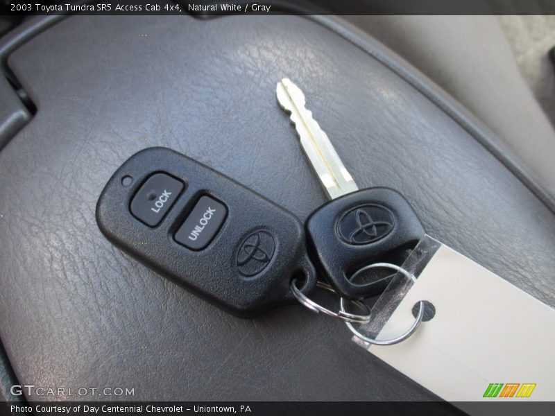 Natural White / Gray 2003 Toyota Tundra SR5 Access Cab 4x4
