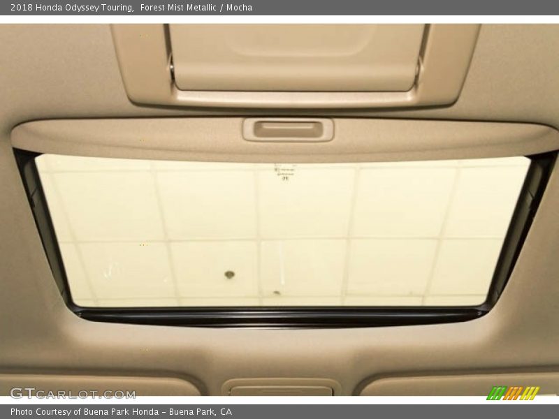 Forest Mist Metallic / Mocha 2018 Honda Odyssey Touring