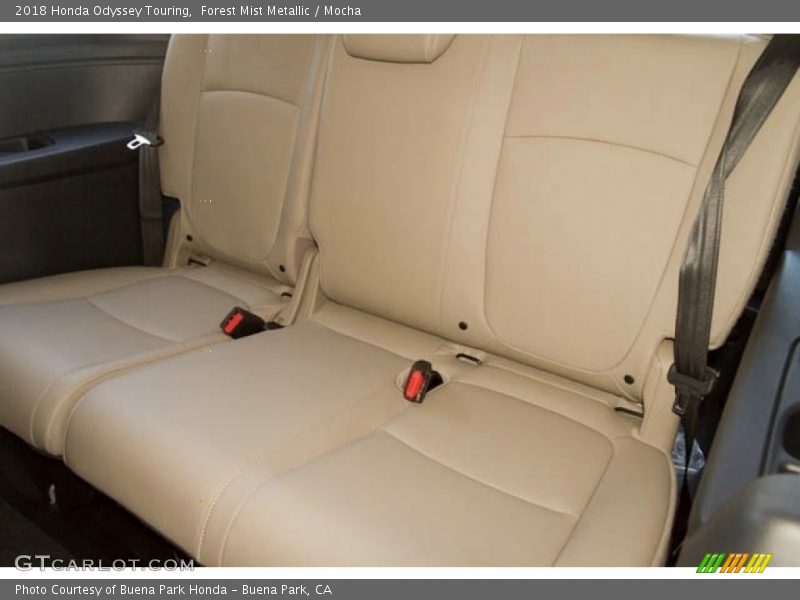 Forest Mist Metallic / Mocha 2018 Honda Odyssey Touring