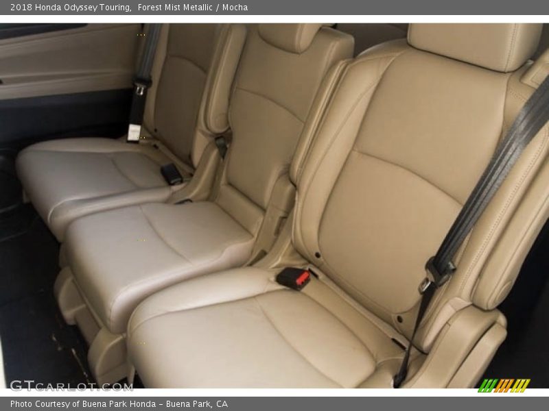 Forest Mist Metallic / Mocha 2018 Honda Odyssey Touring