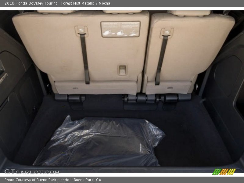 Forest Mist Metallic / Mocha 2018 Honda Odyssey Touring