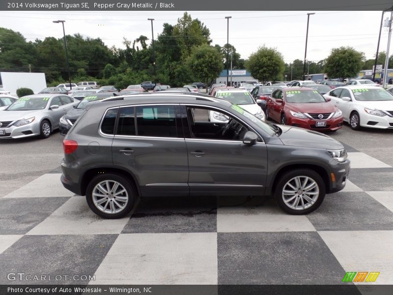 Pepper Gray Metallic / Black 2014 Volkswagen Tiguan SE