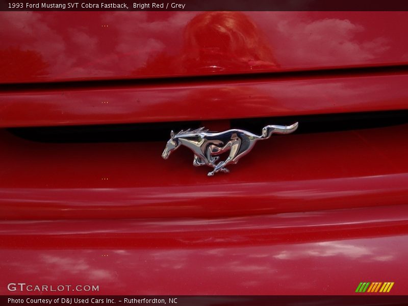  1993 Mustang SVT Cobra Fastback Logo