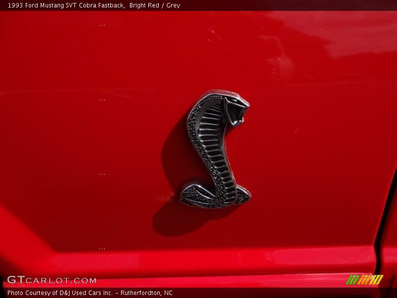  1993 Mustang SVT Cobra Fastback Logo