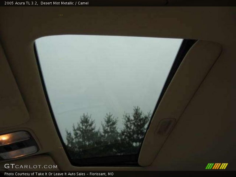 Desert Mist Metallic / Camel 2005 Acura TL 3.2