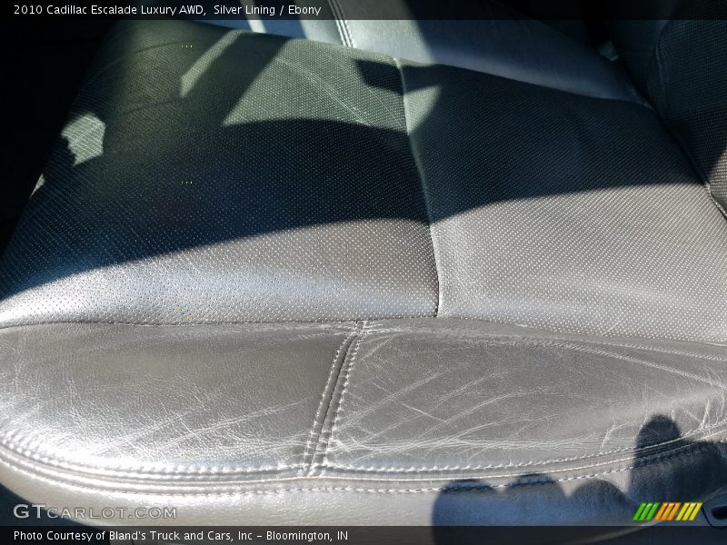 Silver Lining / Ebony 2010 Cadillac Escalade Luxury AWD