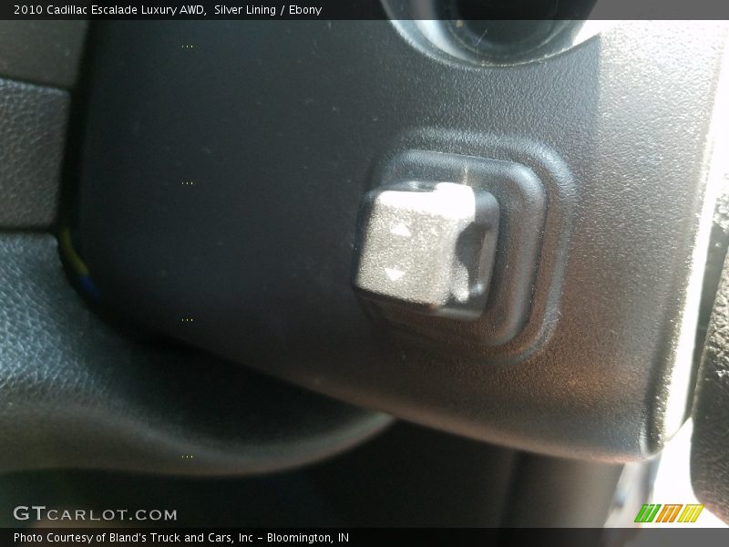 Silver Lining / Ebony 2010 Cadillac Escalade Luxury AWD